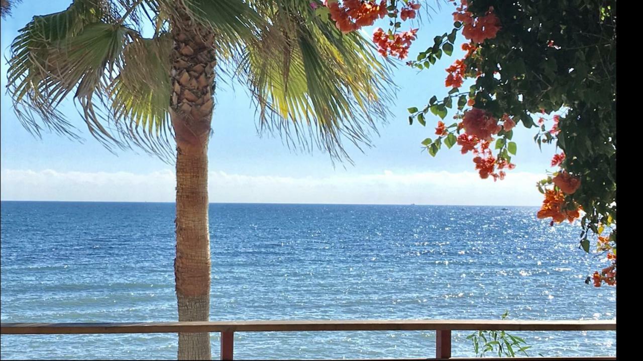 Mi Capricho Beachfront- 9F Apartment With Sea Views - Costa Del Sol Sitio de Calahonda エクステリア 写真